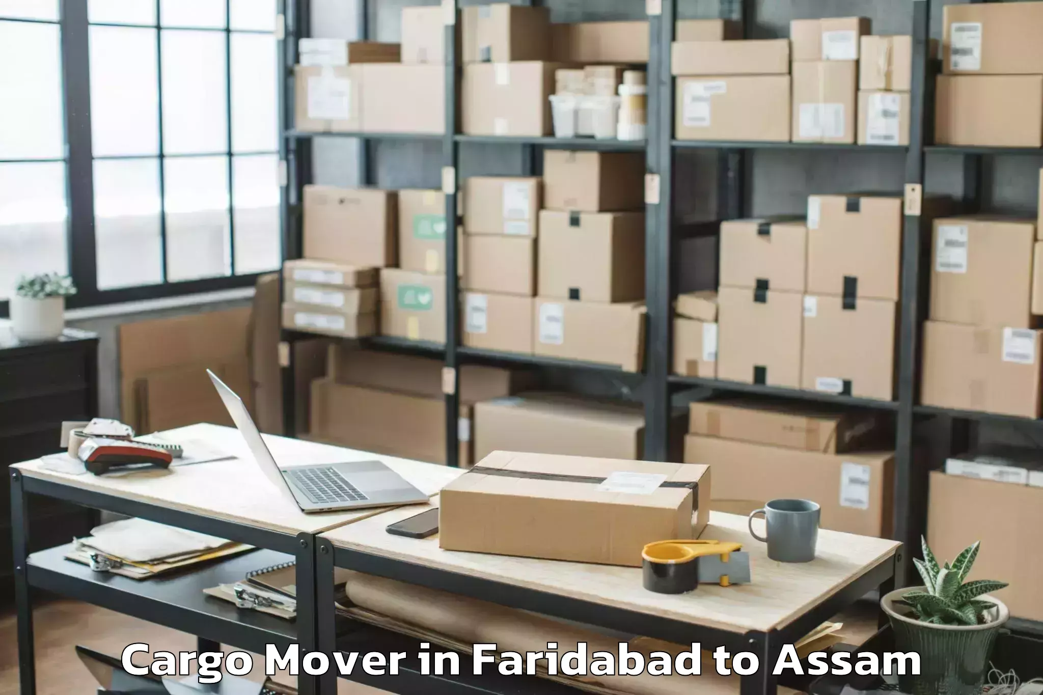 Leading Faridabad to Balijan Cargo Mover Provider